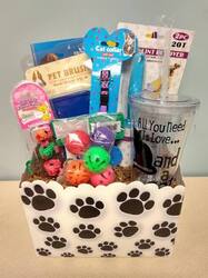 1022 - Northeast Ohio: Meow About It!