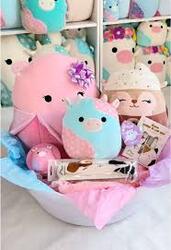 1017 - Northeast Ohio : Squishmallow Fun!